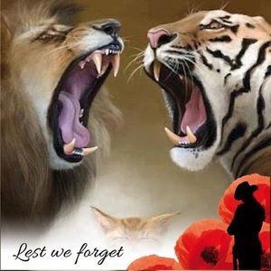 Meet your Posher, Joanne